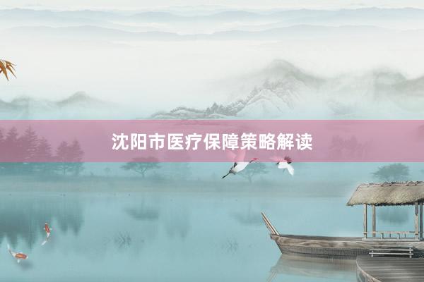 沈阳市医疗保障策略解读